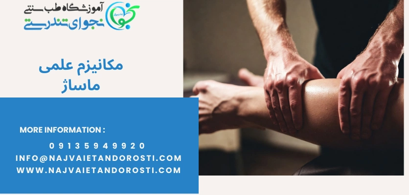 مکانیزم علمی تاثیر ماساژ در گردش خون - بهبود گردش خون با ماساژ